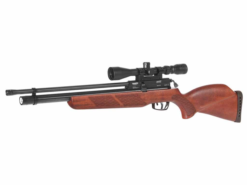 COYOTE MADERA